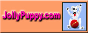 Jolly puppy